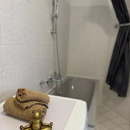 Apartment's Am Luisenpark - Stadtnah - Wlan - Smart Tv - Stellplatz